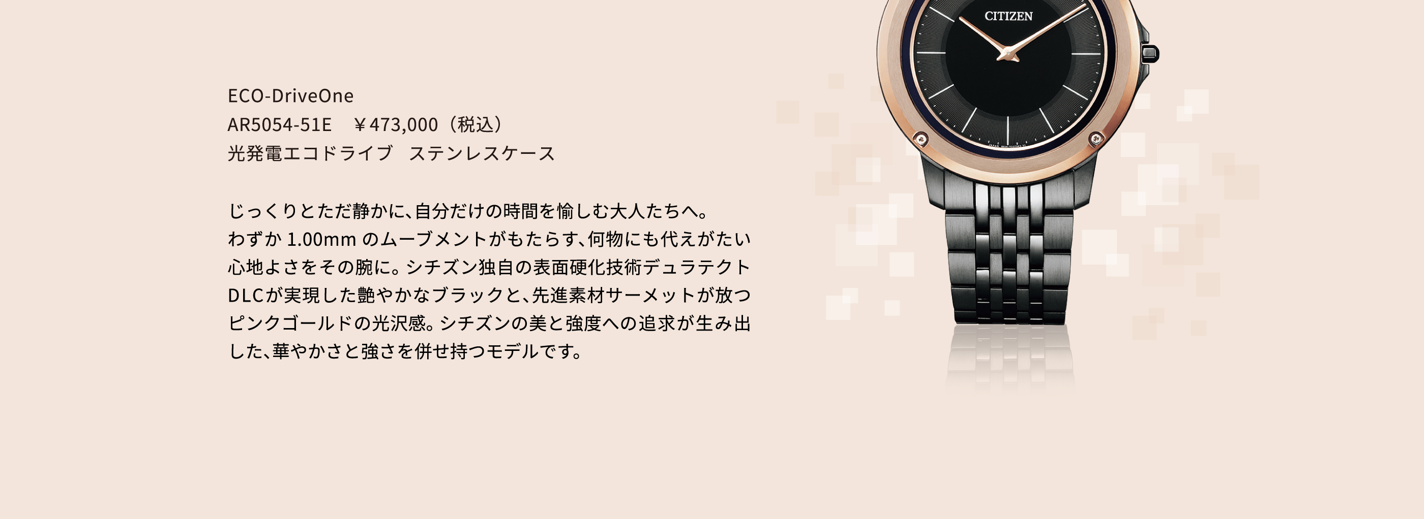 AR5054-51E ￥473,000（税込） 光発電エコドライブ ステンレスケース